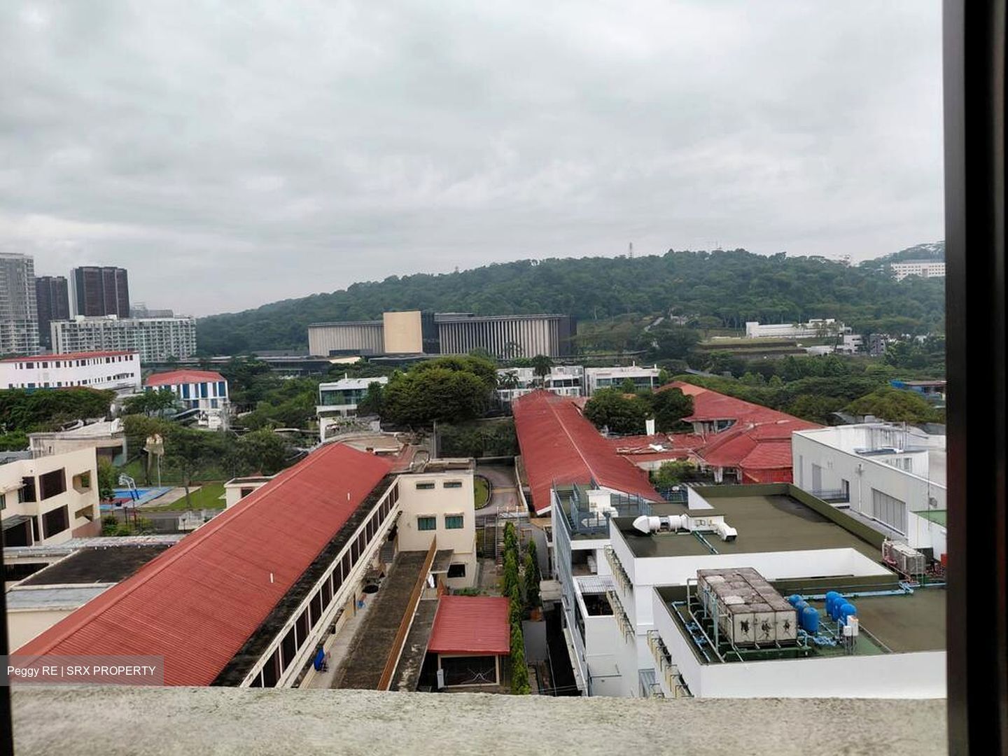 Cashew Park Condominium (D23), Condominium #517101291